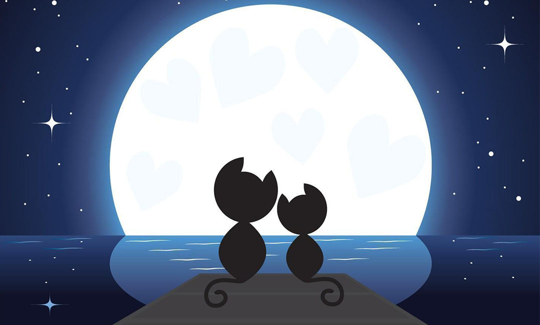 三亚潮客汇微信活动策划案例